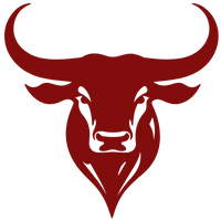 Longhorn red graphic 200 x 200